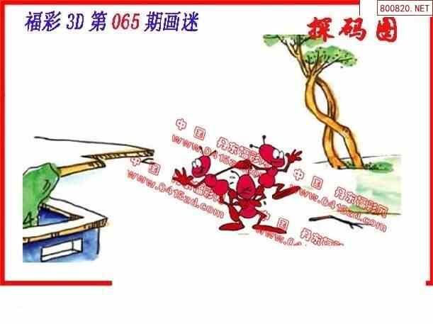 丹东图20065期丹东3d全图先锋快报