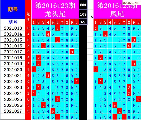 双色球2021年028期飞向阳光龙头凤尾预测图表