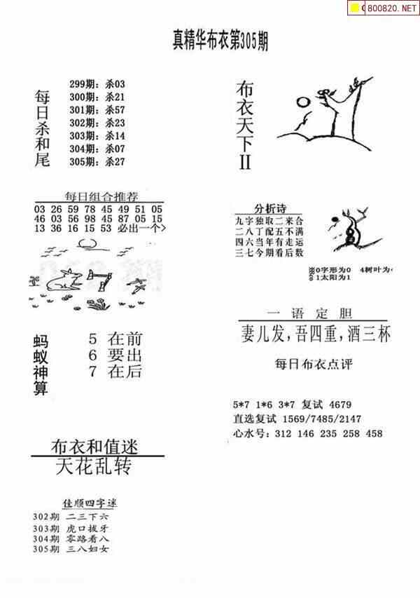 21305期布衣3d图谜版全图汇总天齐整理