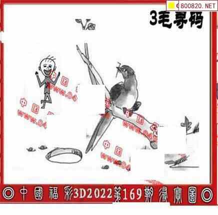 丹东图22169期丹东3d全图先锋快报