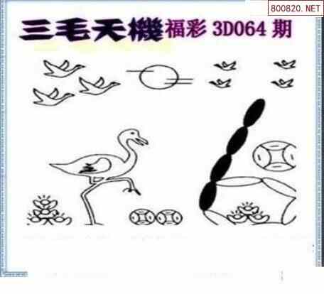 三毛综合图福彩图片