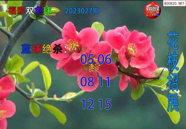 花枝招展2023027期双色球蓝球绝杀图